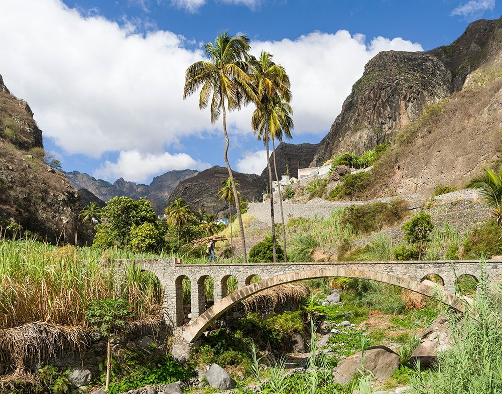 Harvesting sugarcane Valley Ribeira do Paul on the island Santo Antao-Cape Verde art print by Martin Zwick for $57.95 CAD